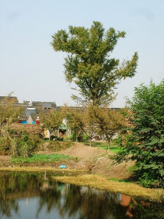 DSCF1518.jpg