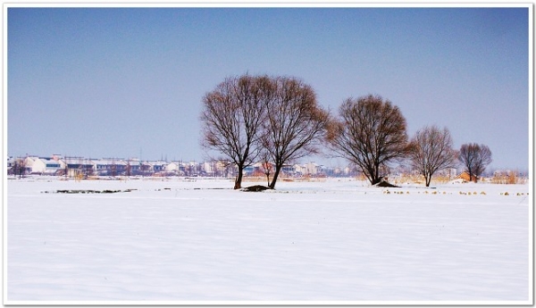 DSCF6795.jpg