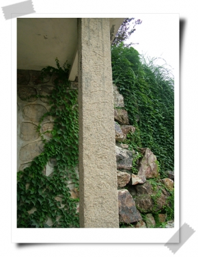 DSCF9351.jpg