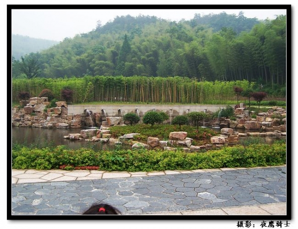 100_9873.jpg