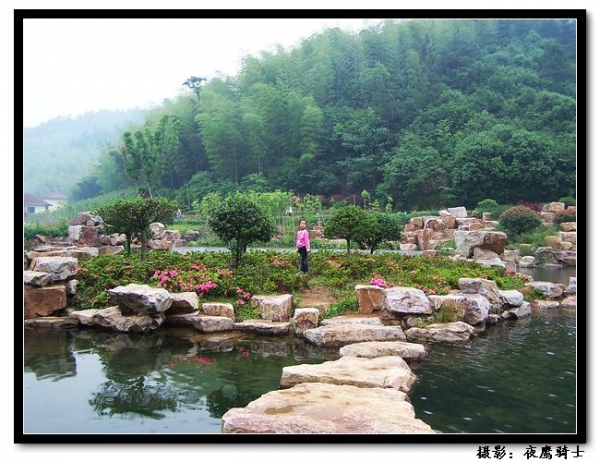 100_9875.jpg
