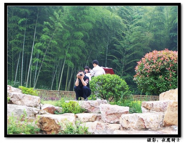 100_9879.jpg