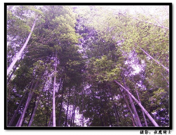 100_9892.jpg