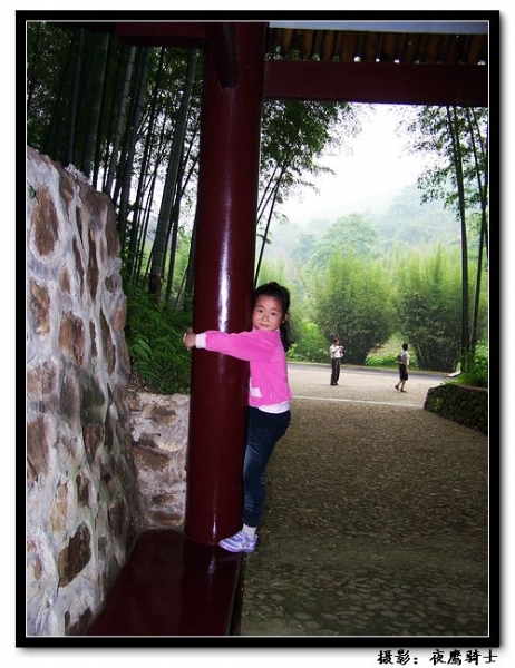 100_9936.jpg