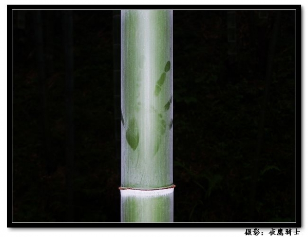 100_9940.jpg