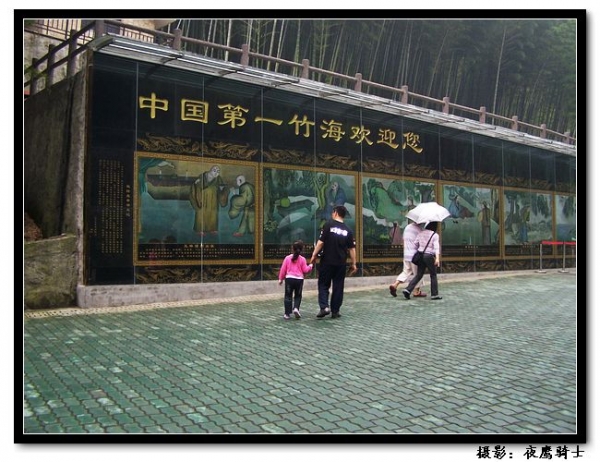 100_9949.jpg