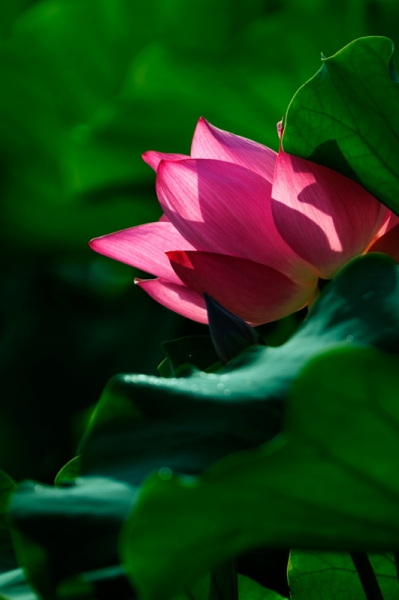 DSC_7671.jpg