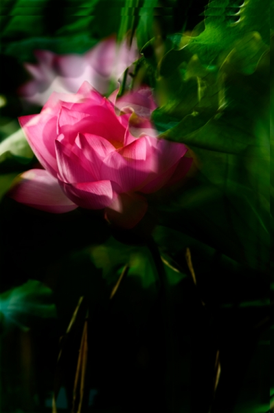 DSC_8160.jpg