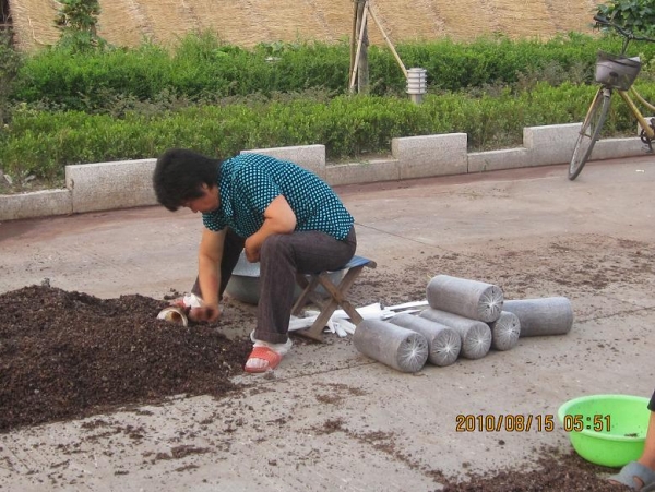 Ģ2.jpg