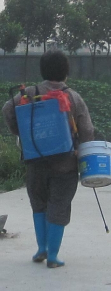 γ.jpg