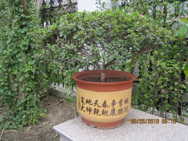Ƭ 026.jpg