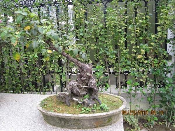 Ƭ 027.jpg