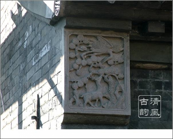 DSCF5856.jpg