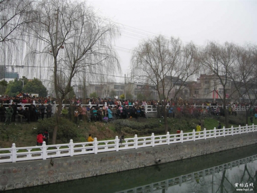 143.jpg