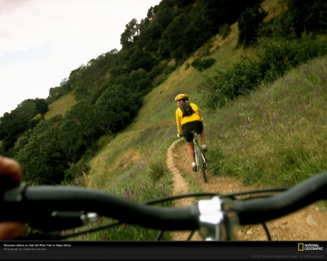 bike-ride-napa-valley-751355-xl.jpg