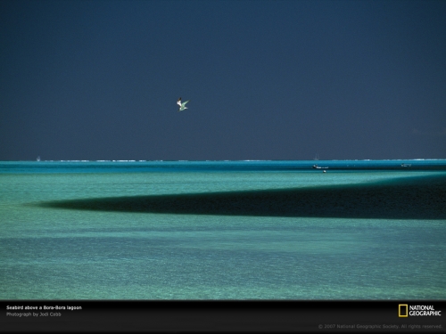 lagoon-bora-bora-513889-lw.jpg
