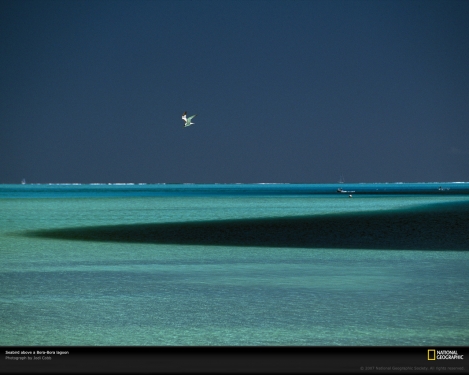 lagoon-bora-bora-513889-xl.jpg