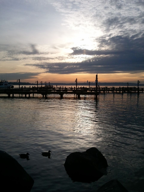 WP_000080.jpg