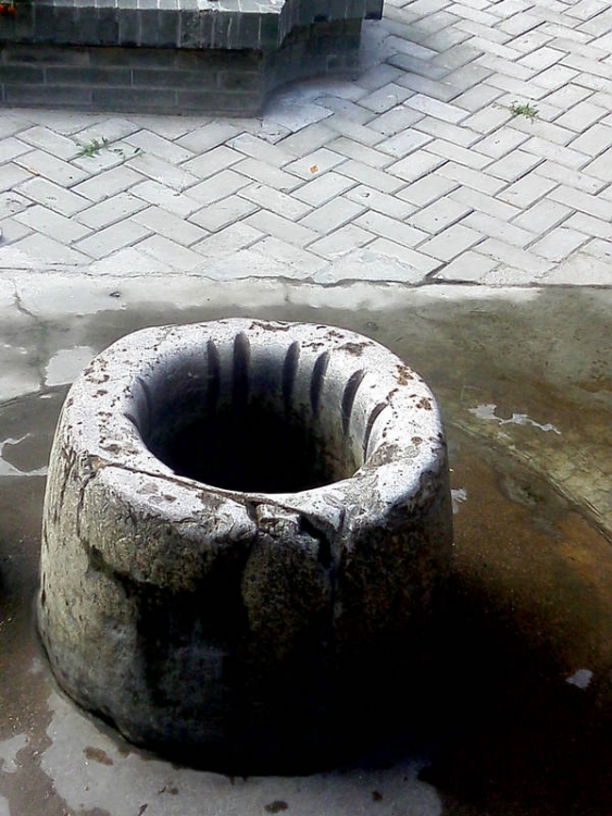 IMG0802072600.jpg