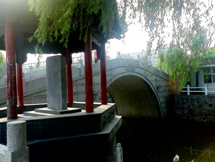 IMG0802075701.jpg