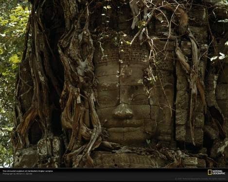 tree-shrouded-sculpture-145365-xl.jpg