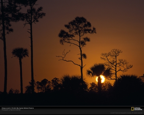 big-cypress-orange-sunset-90701-xl.jpg