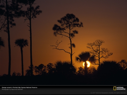 big-cypress-orange-sunset-90701-lw.jpg