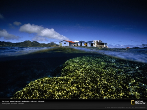 pearl-station-and-reef-513645-lw.jpg
