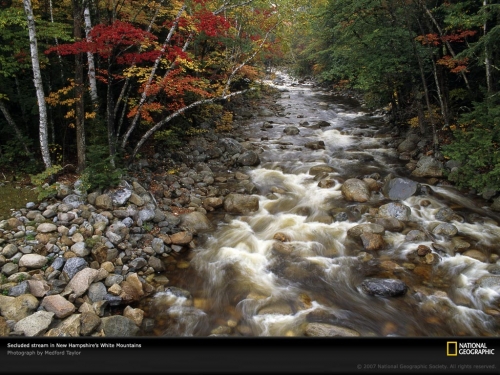 white-mountain-stream-89391-lw.jpg