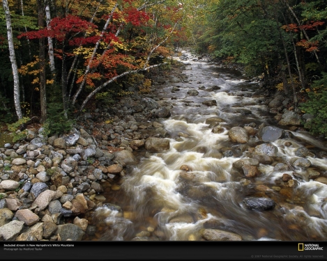 white-mountain-stream-89391-xl.jpg